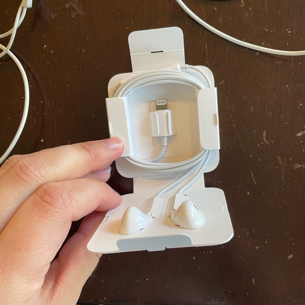 Apple earbuds (4)